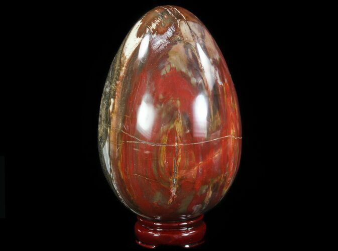 Colorful, Polished Petrified Wood Egg #51663